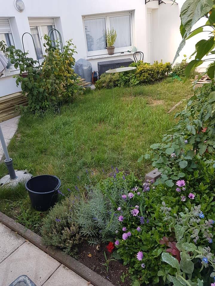 Soin des pelouses près de Wambrechies