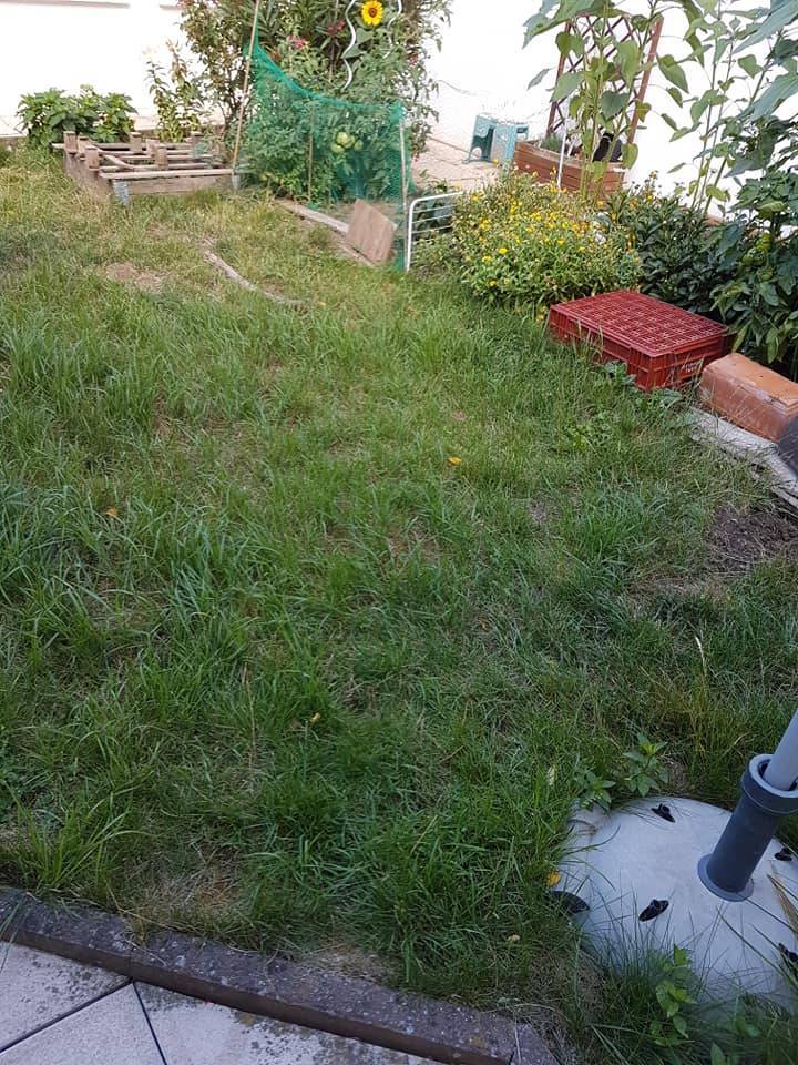 Entretien de jardin